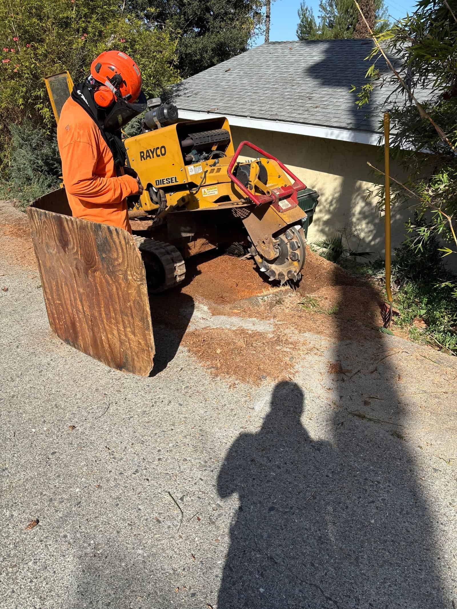 Tree stump being ground down by professional equipment in yard.