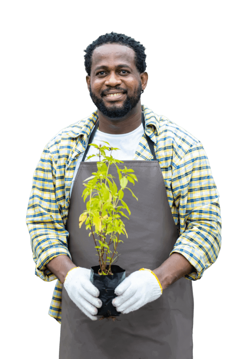 Man holding a young tree in a black pot for tree planting or landscaping.