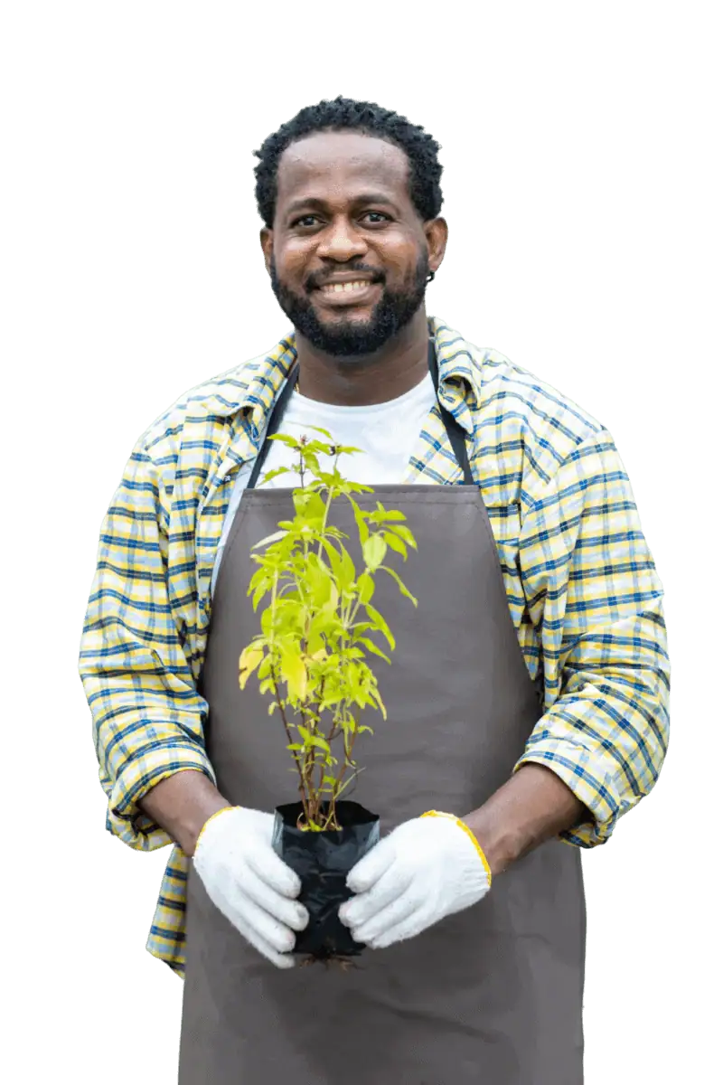 Man holding a young tree in a black pot for tree planting or landscaping.